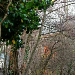 Montgailhard Village - Foix