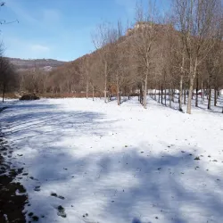 Montgailhard Village - Foix