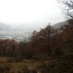 Montgailhard Village - Foix