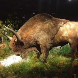 Parc de la Préhistoire - Foix