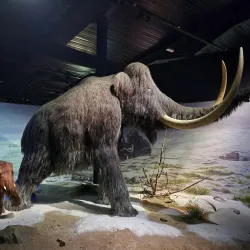 Parc de la Préhistoire - Foix