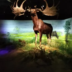 Parc de la Préhistoire - Foix