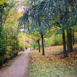 La Coulée Verte - Fontenay-le-Fleury
