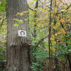 Parc de la Mare Adam - Fontenay-le-Fleury