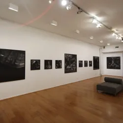 Musée Muséum Départemental des Hautes-Alpes - Gap