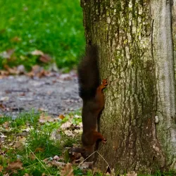 Parc de la Pépinière - Gap