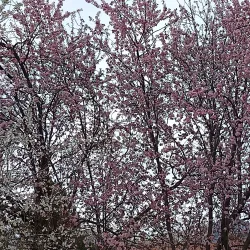 Parc de la Pépinière - Gap