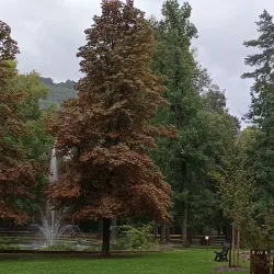 Parc de la Pépinière - Gap