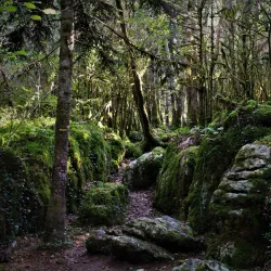 Hiking and Nature Trails - Ginestas