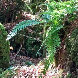 Hiking and Nature Trails - Ginestas