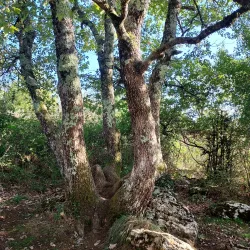 Hiking and Nature Trails - Ginestas