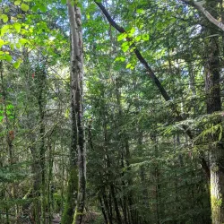 Hiking and Nature Trails - Ginestas