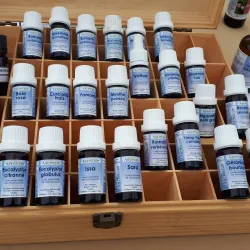 Village Market - Ginestas