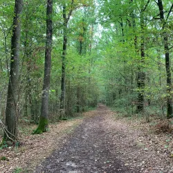 Hiking Trails Around Givet - Givet