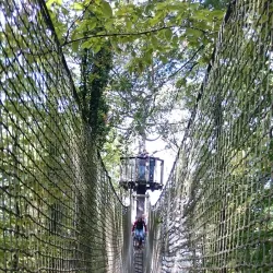 Meuse River Walks - Givet