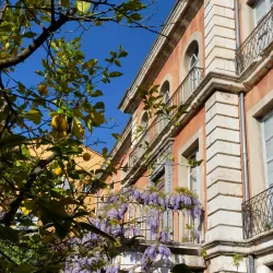 Musée d'Art et d'Histoire de Provence - Grasse
