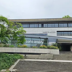 Musée de Grenoble - Grenoble