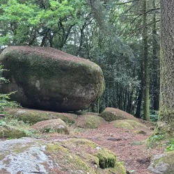 Forêt de Chabrières - Gueret
