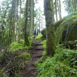 Forêt de Chabrières - Gueret