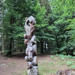 Forêt de Chabrières - Gueret
