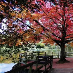 Lac de Saint-Fiel - Gueret