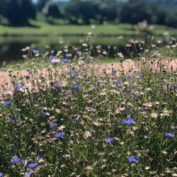 Lac de Saint-Fiel - Gueret