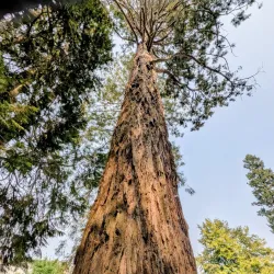 Le Jardin Public - Gueret