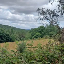 Guipry-Messac Town Hall - Guipry