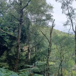 Guipry-Messac Town Hall - Guipry