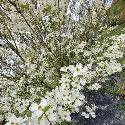 Parc de la Vilaine - Guipry
