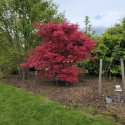 Parc de la Vilaine - Guipry