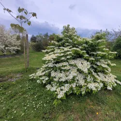 Parc de la Vilaine - Guipry