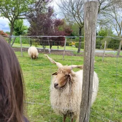 Parc de la Vilaine - Guipry