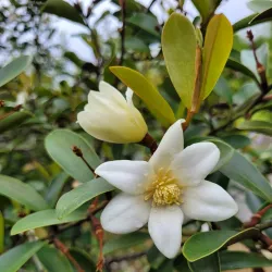 Parc de la Vilaine - Guipry