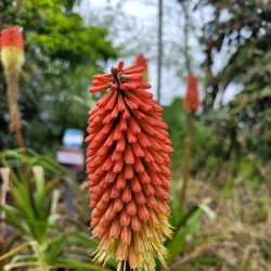 Parc de la Vilaine - Guipry