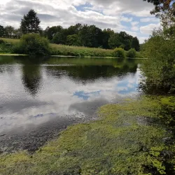 Vilaine River - Guipry