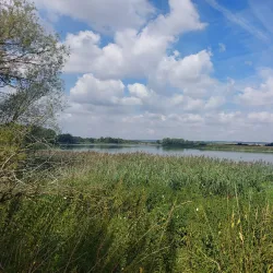 Étang de Lindre - Heming