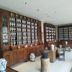 Musée de l'Hospice Saint-Roch - Issoudun