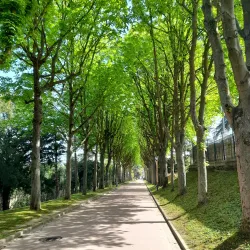 Parc Henri Barbusse - Issy-les-Moulineaux