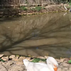 Maison de la Nature et de l'Environnement - La Courneuve