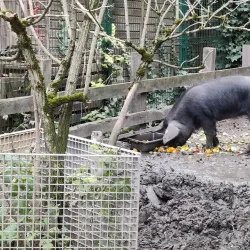Maison de la Nature et de l'Environnement - La Courneuve