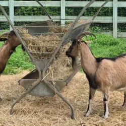 Maison de la Nature et de l'Environnement - La Courneuve