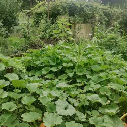 Maison de la Nature et de l'Environnement - La Courneuve