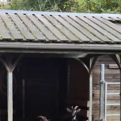 Maison de la Nature et de l'Environnement - La Courneuve