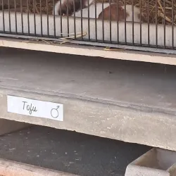 Maison de la Nature et de l'Environnement - La Courneuve