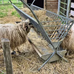 Maison de la Nature et de l'Environnement - La Courneuve