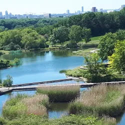 Parc de la Courneuve - La Courneuve