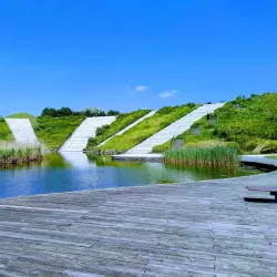 Parc de la Courneuve - La Courneuve
