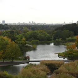 Parc Georges Valbon (Parc de la Courneuve) - La Courneuve