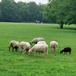 Parc des Chanteraines - La Garenne-Colombes